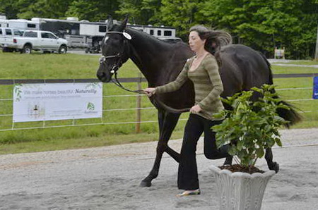 So8ths-5-5-13-SJ-Day-8747-DDeRosaPhoto