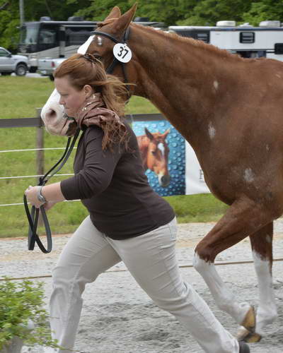 So8ths-5-2-13-Clinics-7021-DDeRosaPhoto