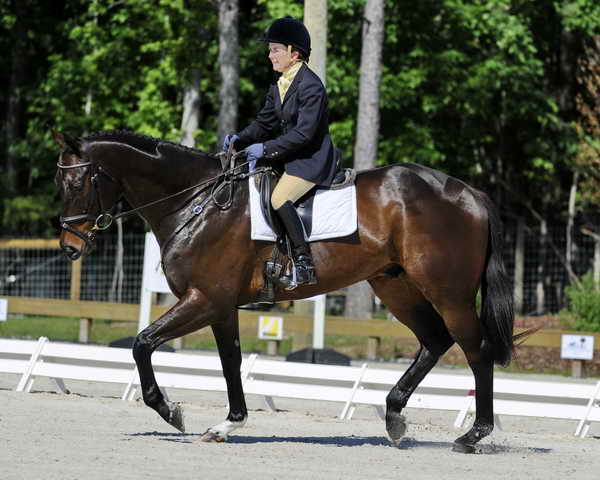 Dressage-So8ths-4-29-11-DR-1608-SarahMorton-ConferenceCall-SarahMorton-ConferenceCall-DDeRosaPhoto-crop.jpg