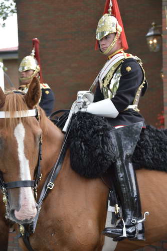 Spruce-Meadows-9-3-13-5143-DDeRosaPhoto