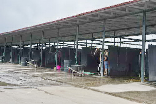 Spruce-Meadows-9-3-13-5234-DDeRosaPhoto