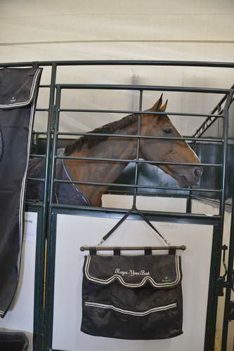 Spruce-Meadows-9-3-13-5245-DDeRosaPhoto