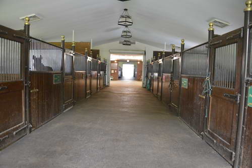 Spruce-Meadows-9-3-13-5250-DDeRosaPhoto