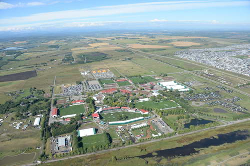 Spruce-Meadows2-9-8-13-3677-DDeRosaPhoto