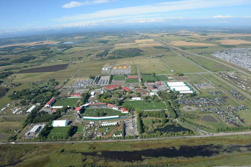 Spruce-Meadows2-9-8-13-3680-DDeRosaPhoto