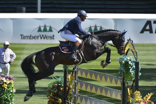 Spruce-Meadows-9-4-13-6267-LudoPhilippaerts-Quintender2-BEL-DDeRosaPhoto