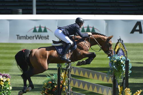 Spruce-Meadows-9-4-13-6295-PatrickStuhlmeyer-LordLohengrin-GER-DDeRosaPhoto
