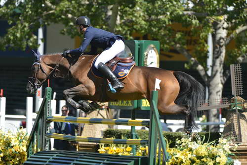 Spruce-Meadows-9-4-13-7128-NicolaPhilippaerts-EarlyMorningMist-BEL-DDeRosaPhoto