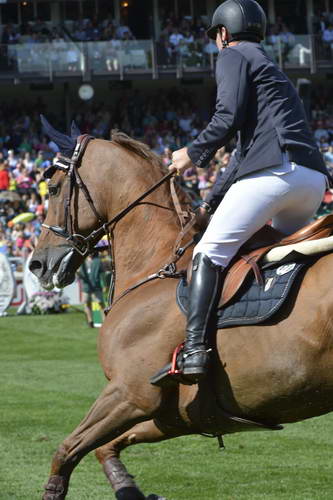 Spruce-Meadows-9-8-13-2860-GuyWilliams-Titus-GBR-DDeRosaPhoto