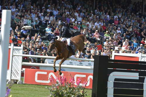 Spruce-Meadows-9-8-13-3567-PieterDevos-Candy-BEL-DDeRosaPhoto