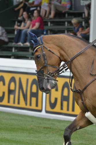 Spruce-Meadows-9-5-13-9616-IanMillar-Dixson-CAN-DDeRosaPhoto
