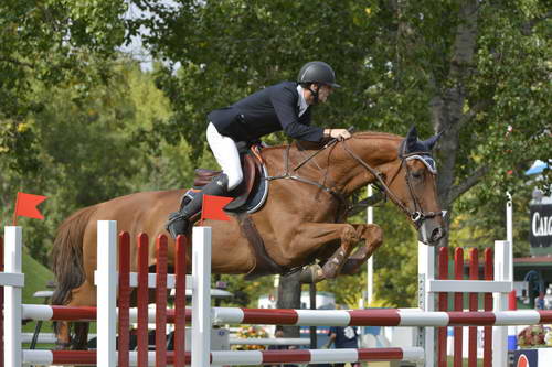 Spruce-Meadows-9-5-13-9761-PieterDevos-Candy-BEL-DDeRosaPhoto