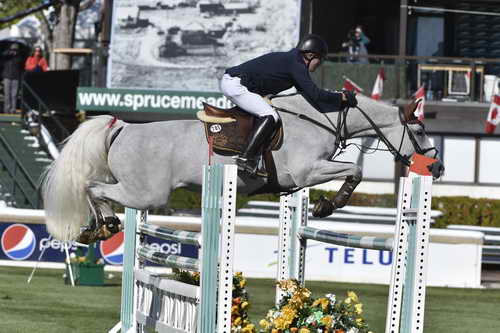 Spruce-TelusCup-9-11-14-1797-MichaelWhitaker-ElieVanDeKolmen-GBR-DDeRosaPhoto