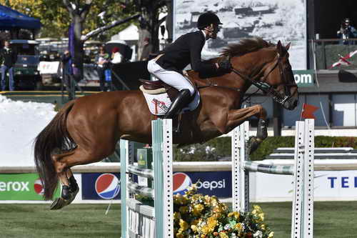 Spruce-TelusCup-9-11-14-2529-WilliamWhitaker-GlenavadraBrilliant-GBR-DDeRosaPhoto