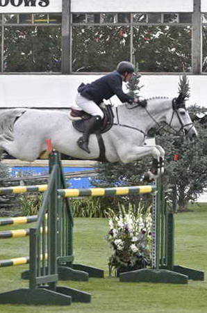 Spruce-Tourmaline-9-12-14-5104-GuyWilliams-DepardieuVanTKiezelhof-GBR-DDeRosaPhoto