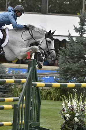 Spruce-Tourmaline-9-12-14-5160-PenelopeLeprevost-MylordCarthagoHN-FRA-DDeRosaPhoto