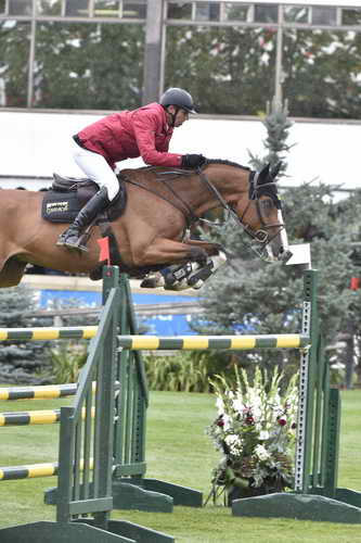 Spruce-Tourmaline-9-12-14-5176-MarcoKutscher-LibertySon2-GER-DDeRosaPhoto