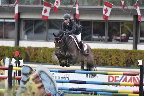 Spruce-Tourmaline-9-12-14-6032-JaimeAzcarraga-Anton-MEX-DDeRosaPhoto