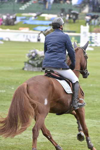 Spruce-Tourmaline-9-12-14-5357-MarcHoutzager-SterrehofsUppity-NED-DDeRosaPhoto