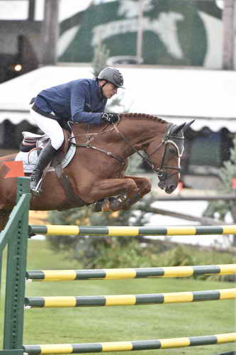 Spruce-Tourmaline-9-12-14-5363-MarcHoutzager-SterrehofsUppity-NED-DDeRosaPhoto