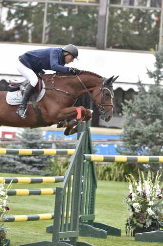 Spruce-Tourmaline-9-12-14-5364-MarcHoutzager-SterrehofsUppity-NED-DDeRosaPhoto