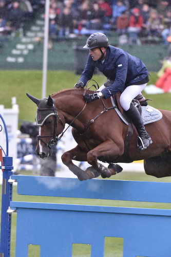 Spruce-Tourmaline-9-12-14-5377-MarcHoutzager-SterrehofsUppity-NED-DDeRosaPhoto