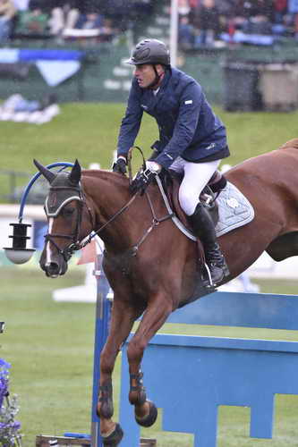 Spruce-Tourmaline-9-12-14-5379-MarcHoutzager-SterrehofsUppity-NED-DDeRosaPhoto