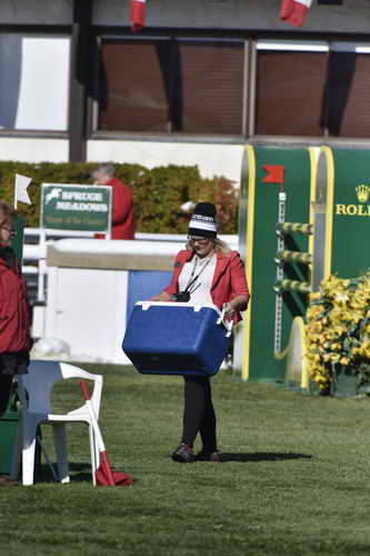 Spruce-9-11-14-1709-DDeRosaPhoto