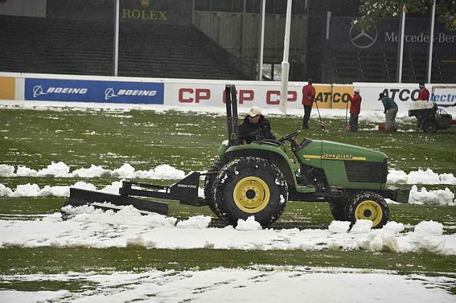 Spruce-9-9-14-1622-DDeRosaPhoto