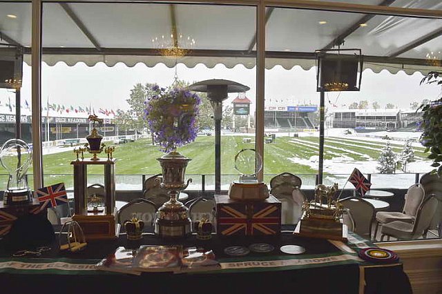 Spruce-9-9-14-1644-DDeRosaPhoto