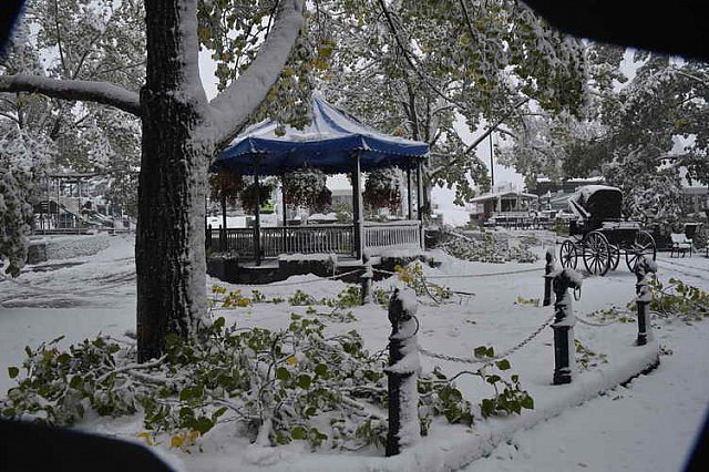 Spruce-9-9-14-1676-DDeRosaPhoto