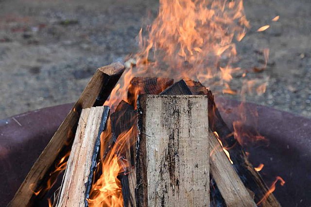 TRIFF-10-08-2021-4723-DDeRosaPhoto