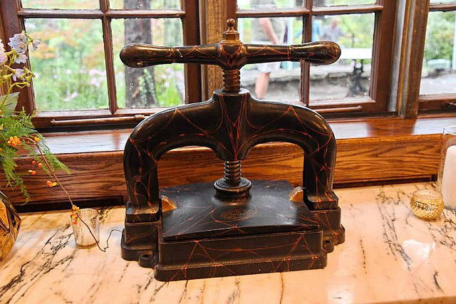 TRIFF-10-08-2021-4741-DDeRosaPhoto