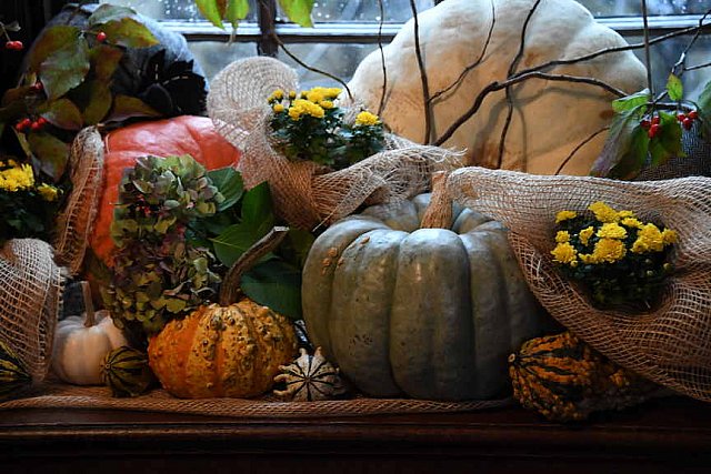 TRIFF-10-08-2021-4761-DDeRosaPhoto