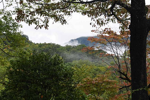 TRIFF-10-08-2021-4783-DDeRosaPhoto