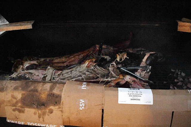 TRIFF-10-08-2021-4794-DDeRosaPhoto