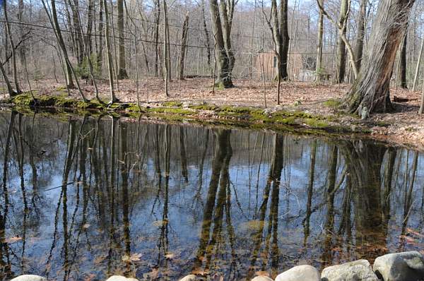 Property-4-4-09-02-DDeRosaPhoto