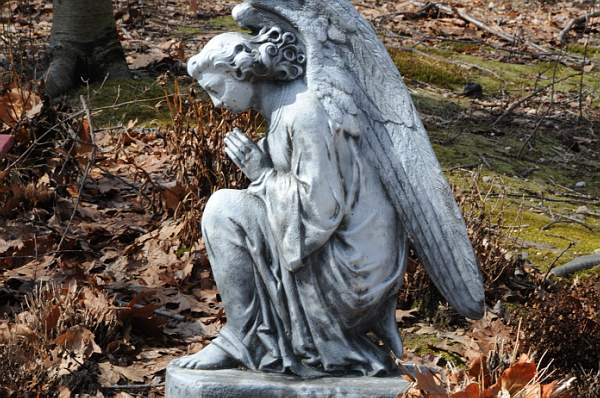 Property-4-4-09-15-DDeRosaPhoto