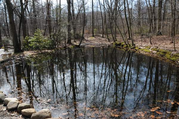 Property-4-4-09-17-DDeRosaPhoto