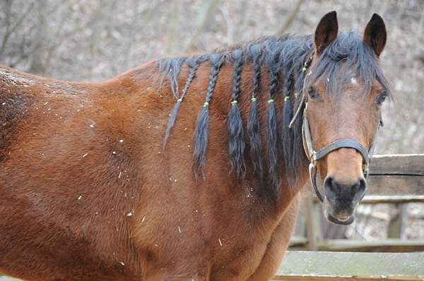 Property-4-4-09-22-DDeRosaPhoto