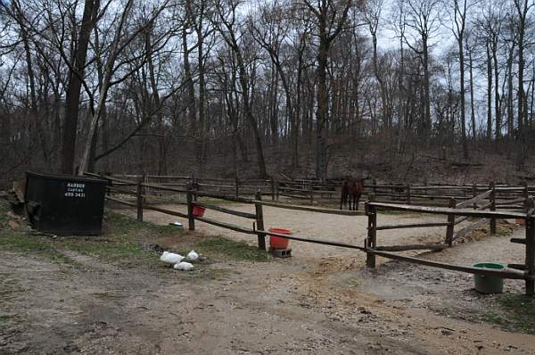 Property-4-4-09-27-DDeRosaPhoto