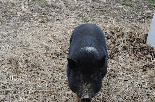 Property-4-4-09-30-DDeRosaPhoto