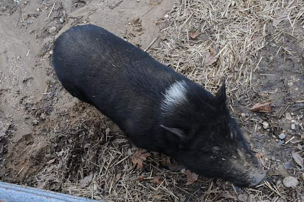 Property-4-4-09-34-DDeRosaPhoto