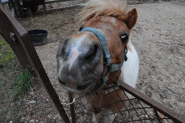 Property-4-4-09-45-DDeRosaPhoto