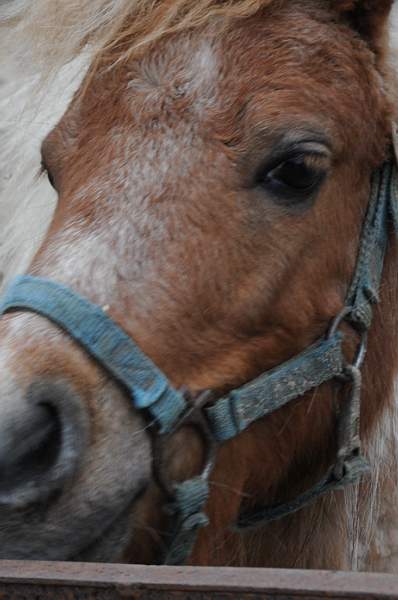 Property-4-4-09-49-DDeRosaPhoto