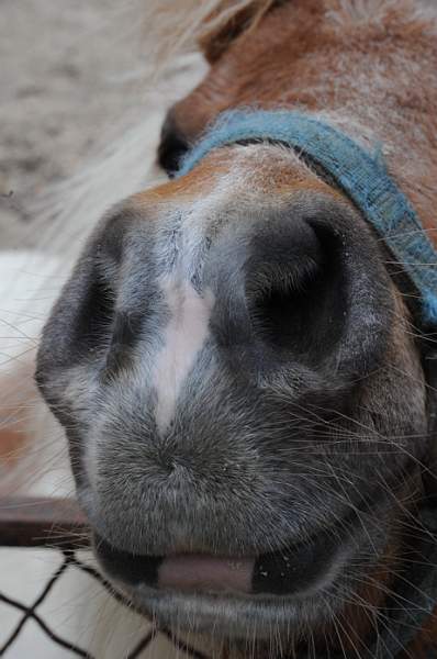 Property-4-4-09-54-DDeRosaPhoto