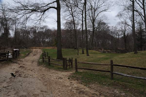 Property-4-4-09-64-DDeRosaPhoto