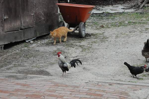 Property-4-4-09-91-DDeRosaPhoto