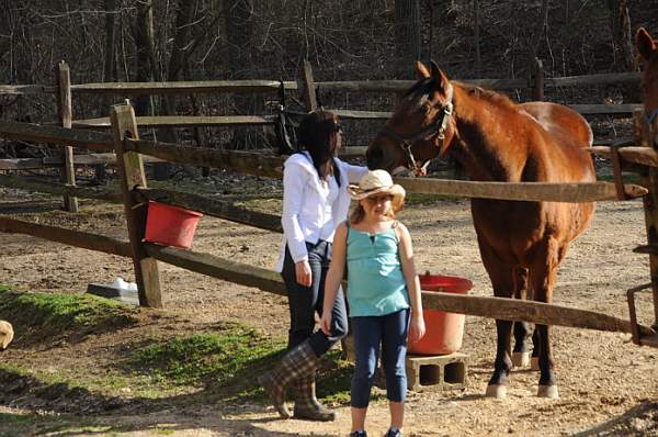 Property-4-4-09-96-DDeRosaPhoto