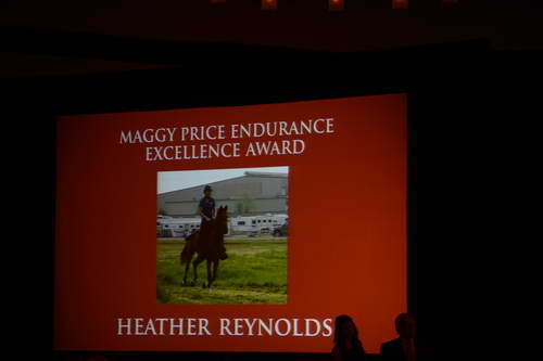 USEF-1-18-19-2013-9060-DDeRosaPhoto